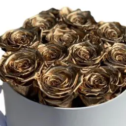 Golden Roses Box 1